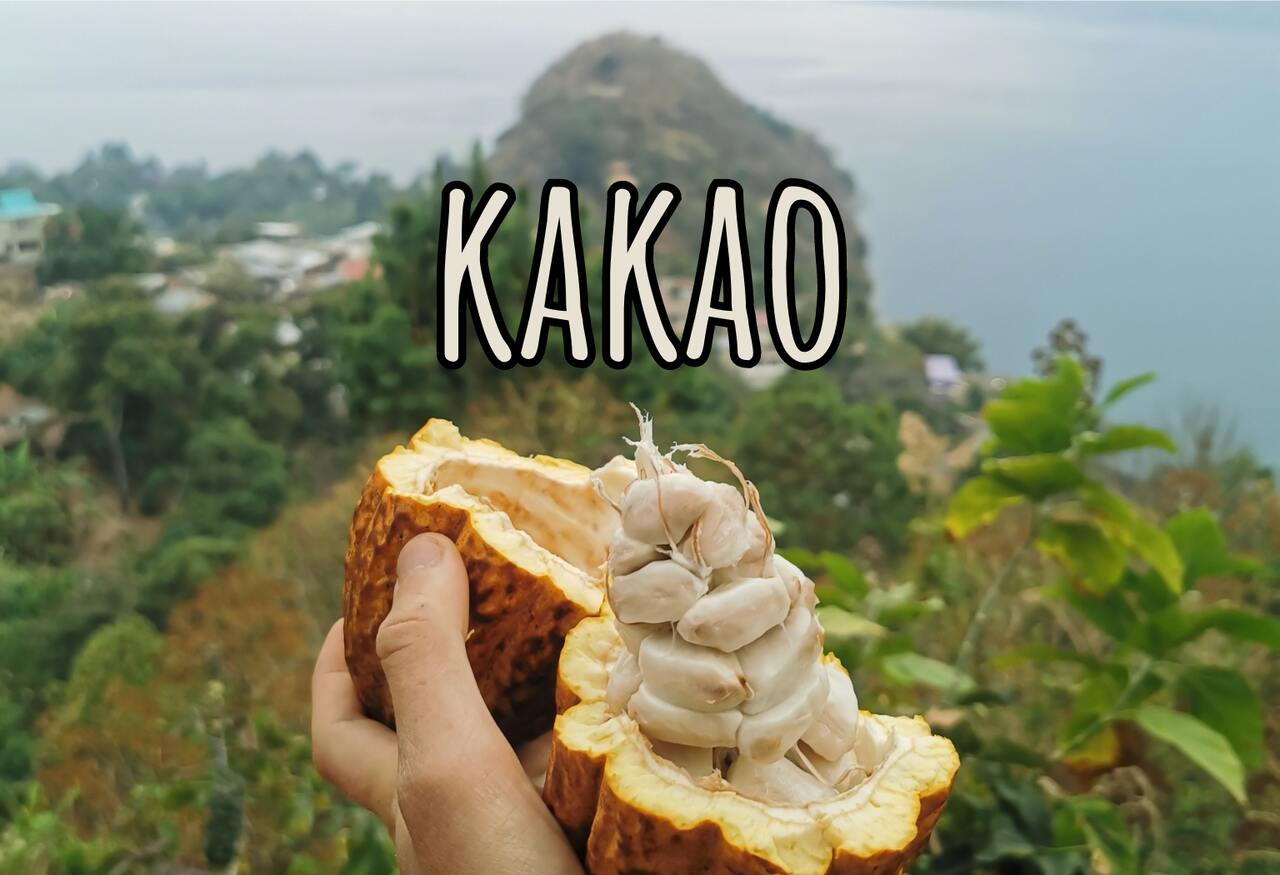 Ceremoniální kakao a cesta do Guatemaly a Mexika